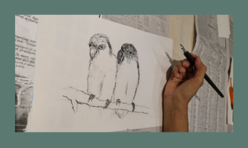 Pen and Ink Workshop - Bird Sketch