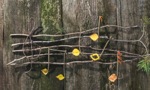 Musical branches and leaves